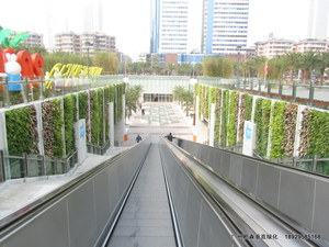 公共空间艺术植物墙