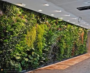 商城艺术绿化墙